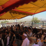 DSC06715