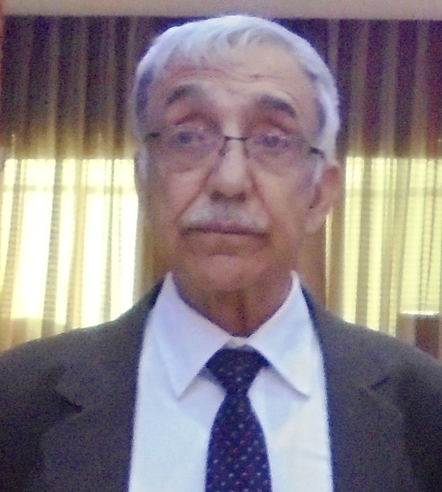 میرمحمدشاه رفیعی